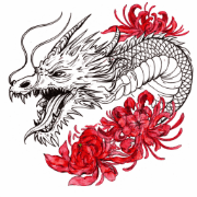 Логотип Black Dragon